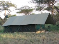 AVT SAFARI TENT 1         