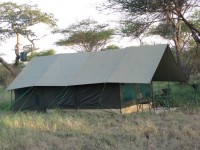 AVT SAFARI TENT 1         