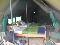 AVT SAFARI TENT TWIN BEDS 10           