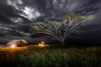 Serengeti Camp Night Shot -2    